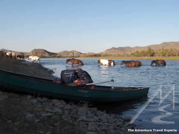 Orkhon foly, Mongolia