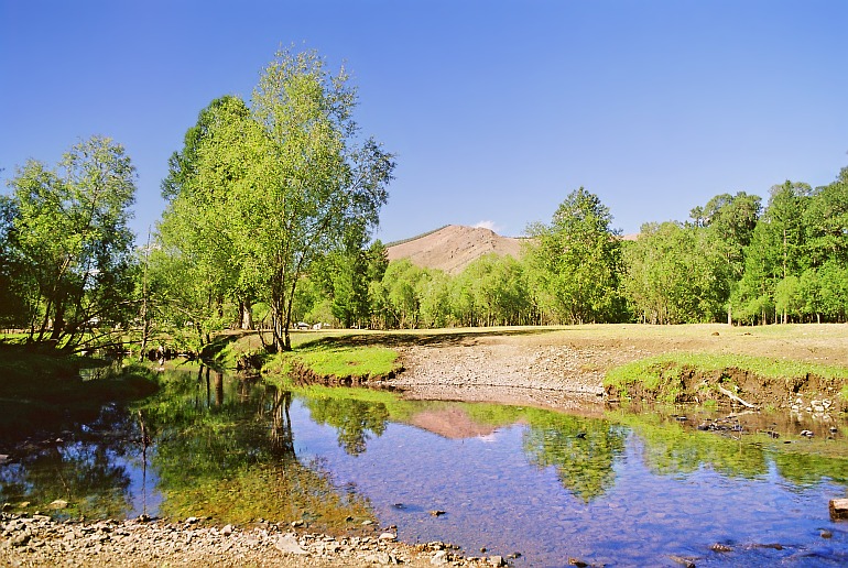 Tola foly, Mongolia